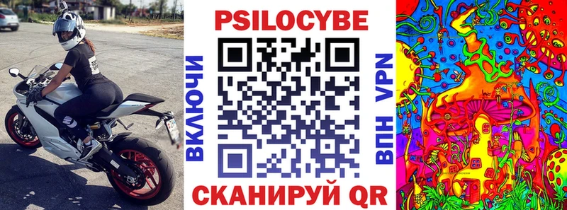 Галлюциногенные грибы Cubensis  цены   МЕГА рабочий сайт  Жердевка 